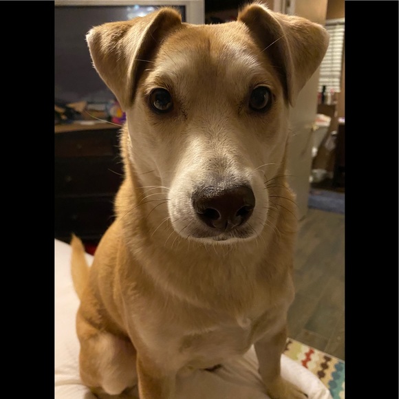 Meet your Posher, Viviana - Picture 6 of 7